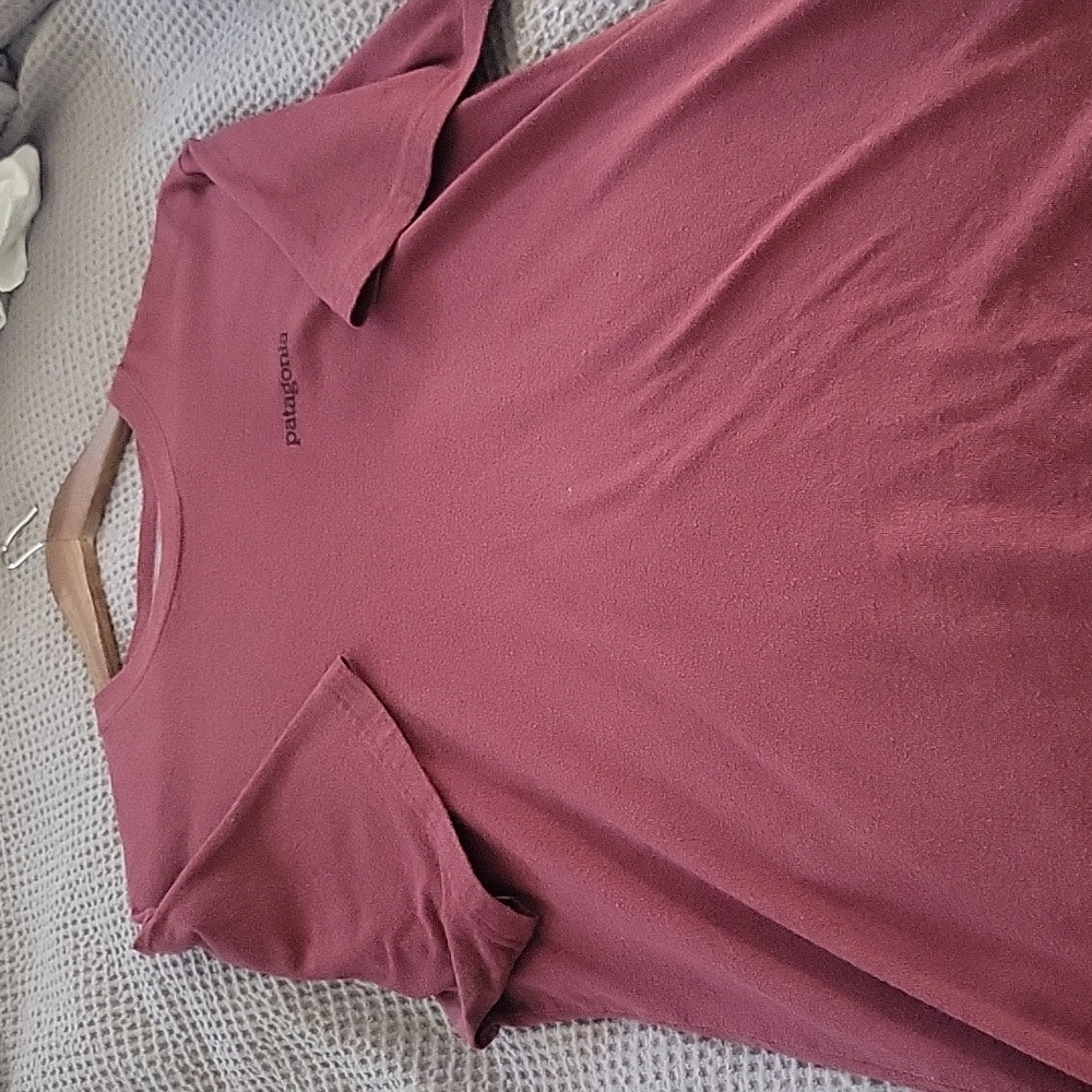Patagonia Shirt